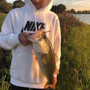 Meet your Posher, Harper